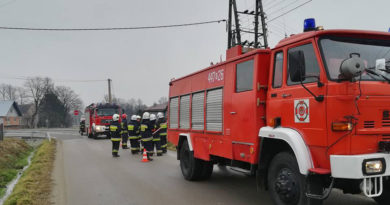 Pożar transformatora w miejscowości Libusza